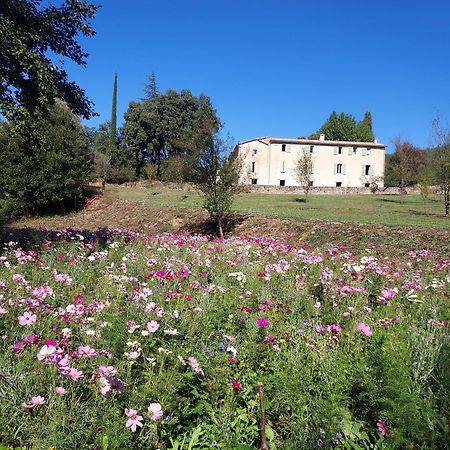 Les Jardins De Falguiere 생장뒤가르 외부 사진